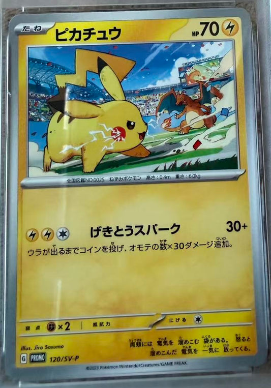 (Display) Pikachu Gym Event Campaign / Japanese