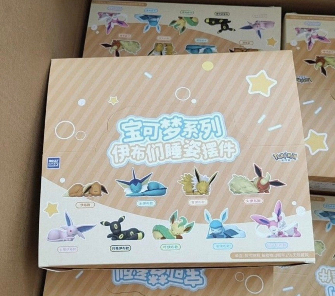 Eevee Family Sleeping Pose Holly Box