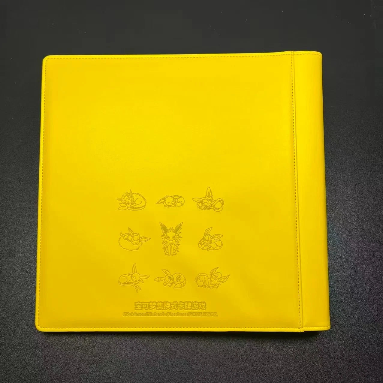 Sealed Gift Box Card Binder Jolteon Eevee GX